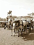 Carrozzella in piazza del Santo